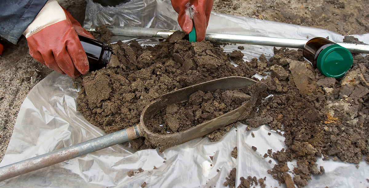 Collecting a soil sample