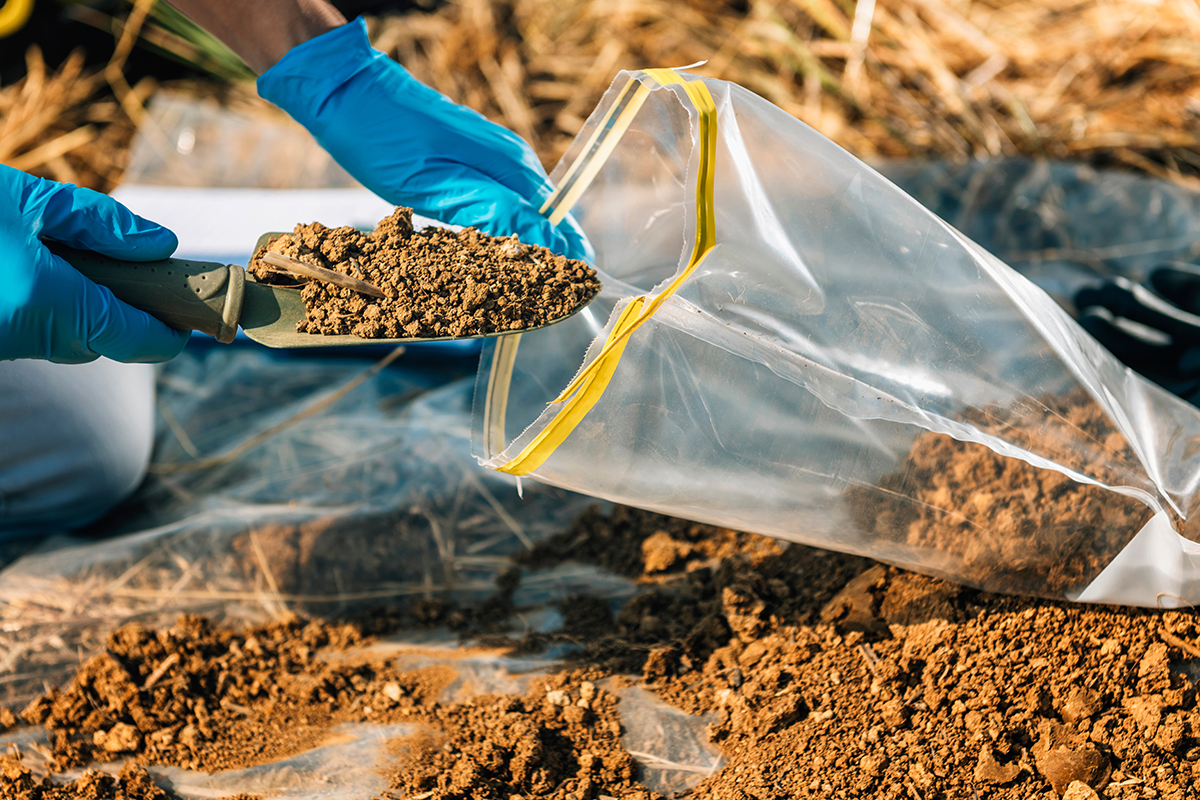Person collecting a sample of soil