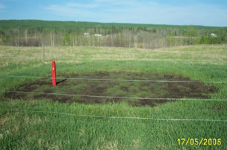 Vegetation suppression due to hydrocarbon gas migration at an abandoned well site