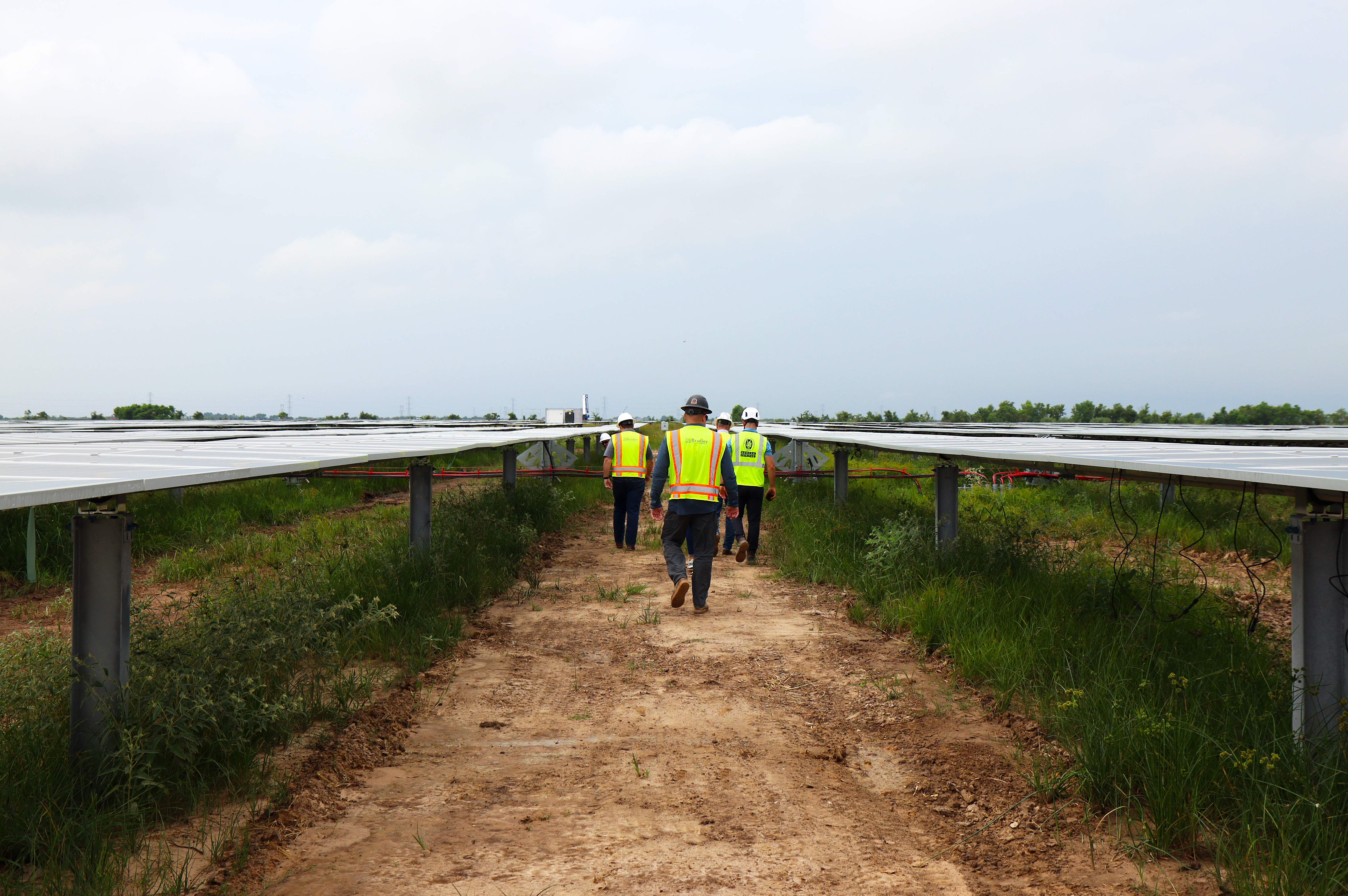 Men in safety vests walking through solar panel field