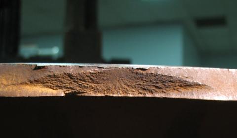 Mushroom Crack 