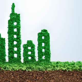Phase 1 ESA