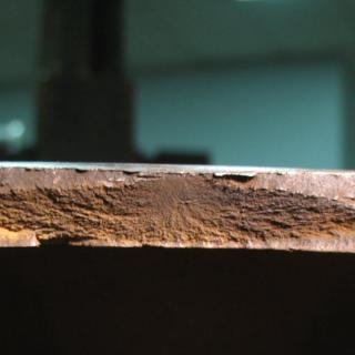 Mushroom Crack 