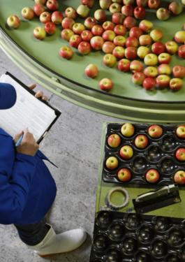 Food Certification