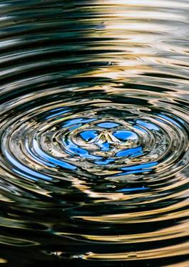 Sustainability Certification