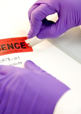 Person in purple gloves using a razor blade to open an evidence bag