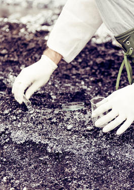 Collecting a soil sample