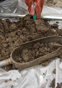 Collecting a soil sample