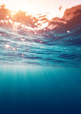 photo taken underwater, aimed at the light on the surface