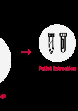 Reverse Transcriptase qPCR Method for SARS-CoV-2 Testing on Wastewater Samples