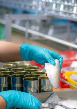Canned Food Processing