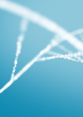 DNA Strand