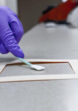 Swab Sampling for USP 800
