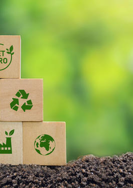 Zero Net Energy & Electrification