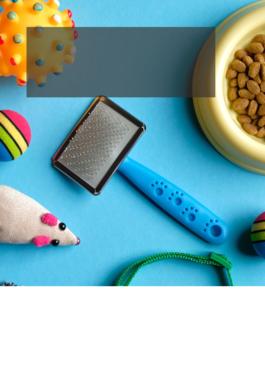 various pet products including brushes, toys, collars, and bowls on a blue background