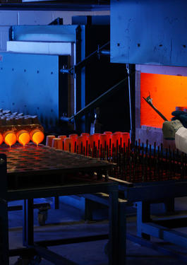 BVNAM - Fire Assay Analysis