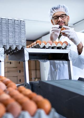 Egg Processing Worker