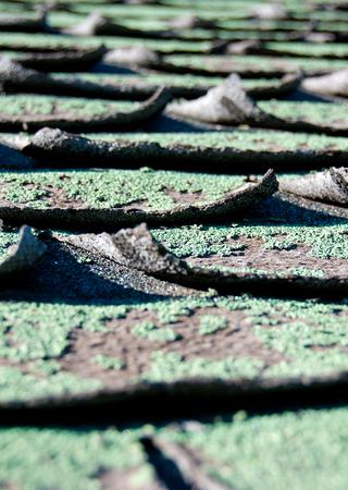 Weathered Asphalt Roof Shingles