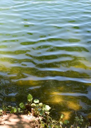 Fresh Water Lake