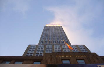 State Specific Services