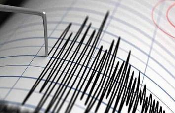 Seismic Risk Assessment