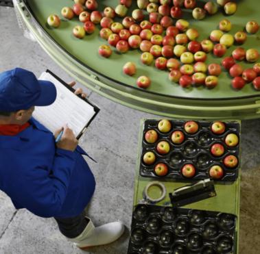 Food Certification