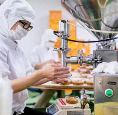 HACCP, GMP