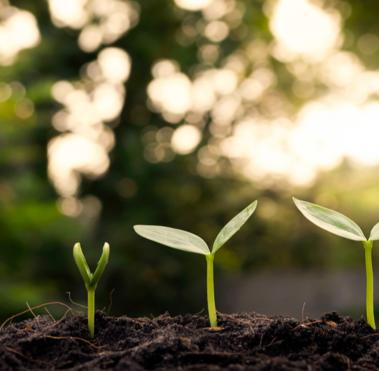 environmental ISO14001
