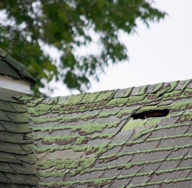 shingles