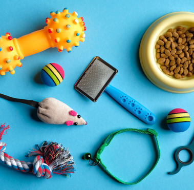 pet food, toys, collar, and brush on blue background