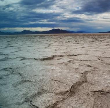 Salinity Testing
